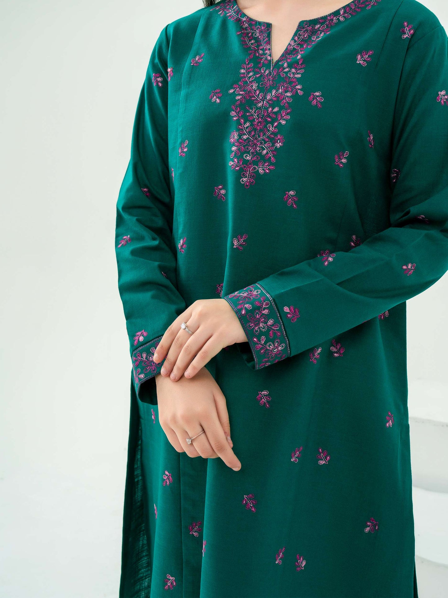 2 Piece Khaddar Suit-Embroidered