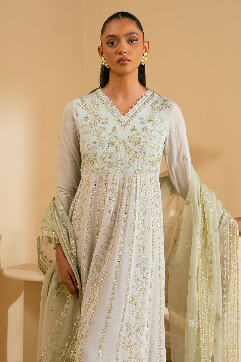 ORNATE MIST-2PC (SHIRT & DUPATTA)